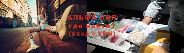 СК Балахна