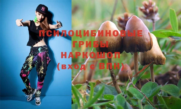 гашик Балабаново