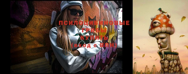дмт Баксан