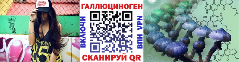 где продают   Губаха  Псилоцибиновые грибы Magic Shrooms 