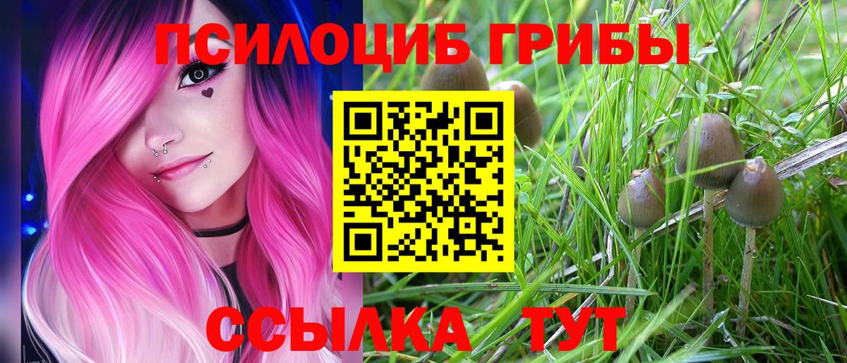 Галлюциногенные грибы мицелий  Псилоцибиновые грибы Cubensis  Вход с VPN  Губаха 