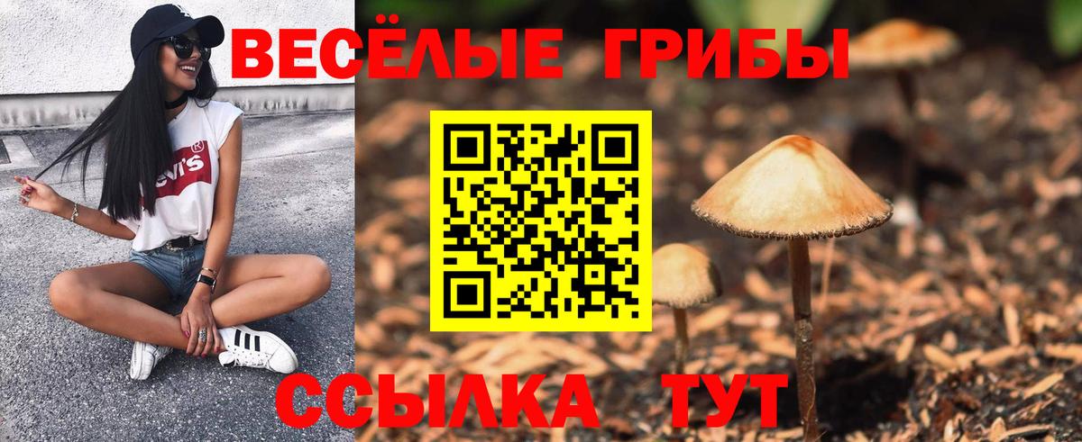 Псилоцибиновые грибы Cubensis Губаха